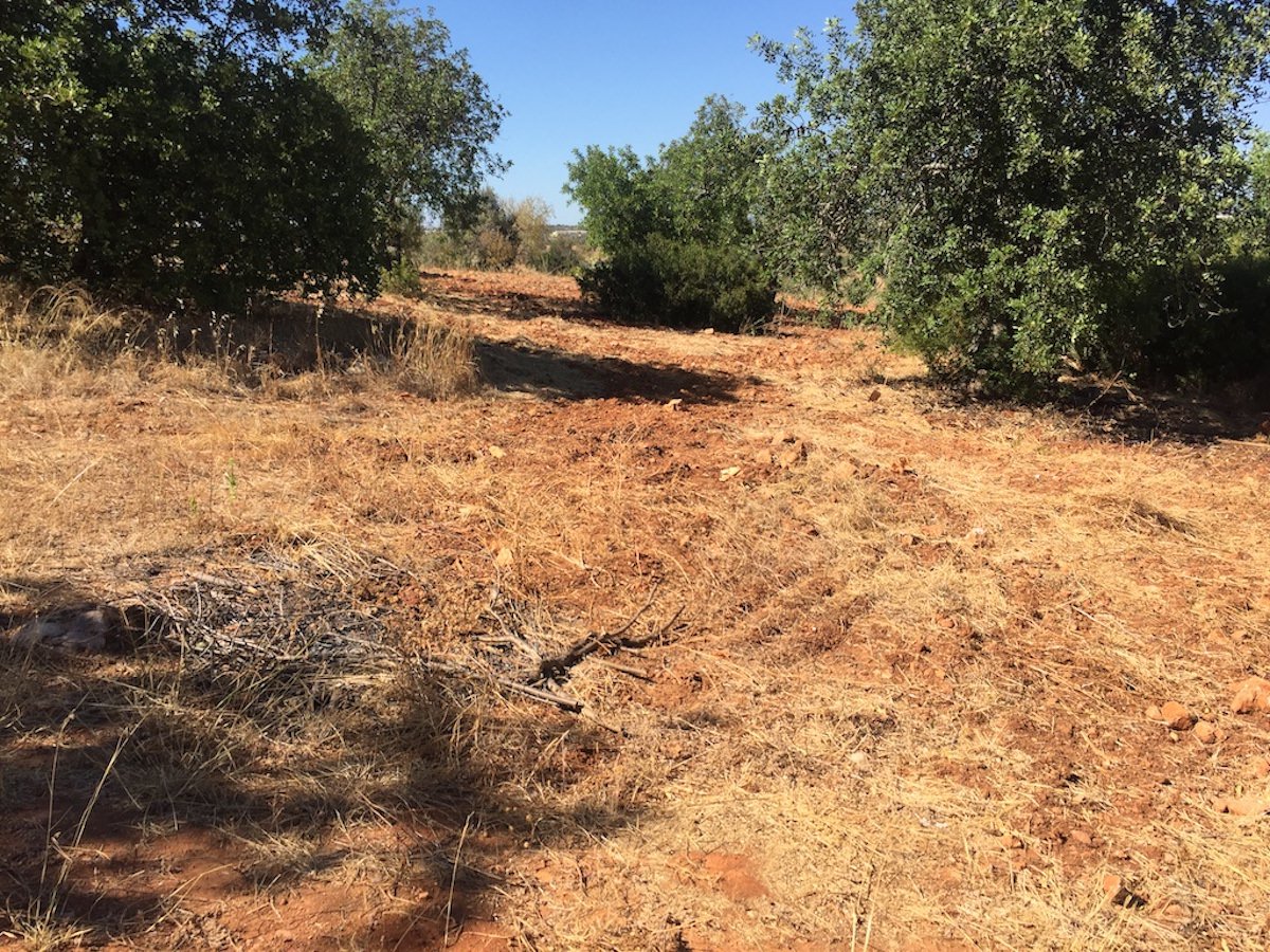 Land for construction with great location in Algarve