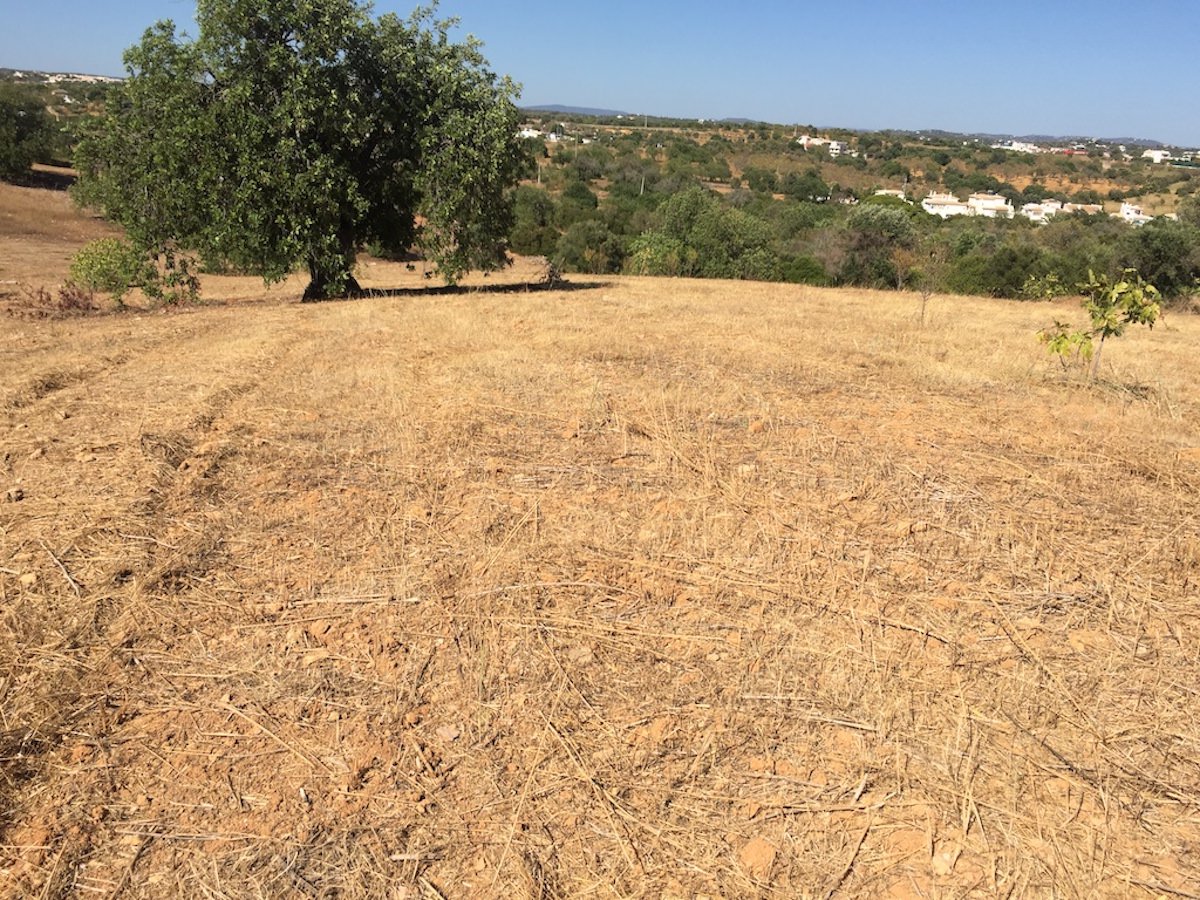 Land for construction with great location in Algarve