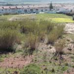 Terreno para venda Sao Martinho Porto