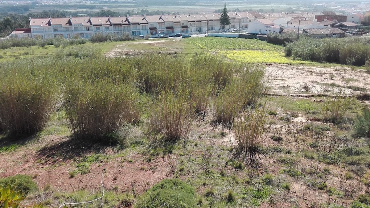 Terreno para venda Sao Martinho Porto