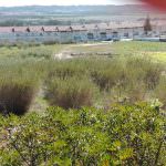 Terreno para venda Sao Martinho Porto