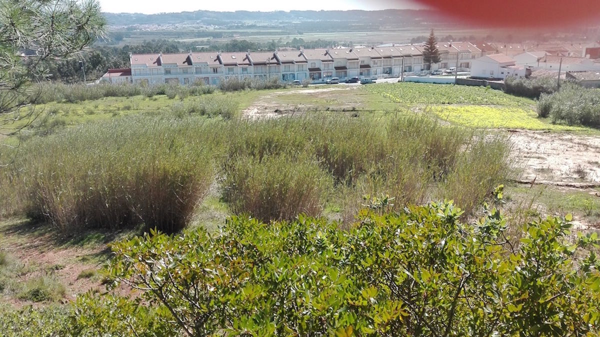 Terreno para venda Sao Martinho Porto