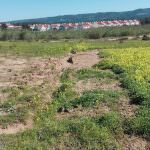 Terreno para venda Sao Martinho Porto