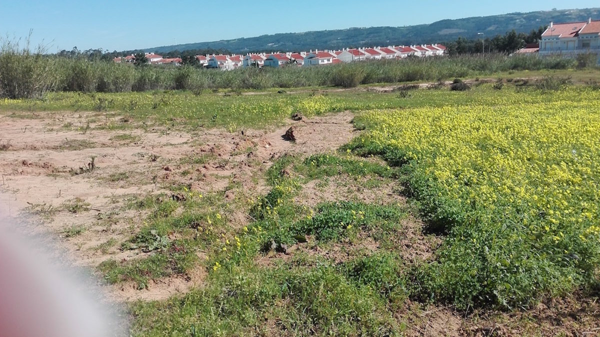 Terreno para venda Sao Martinho Porto