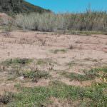 Terreno para venda Sao Martinho Porto