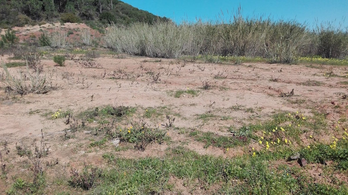 Terreno para venda Sao Martinho Porto