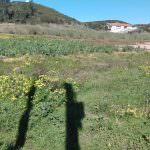 Terreno para venda Sao Martinho Porto