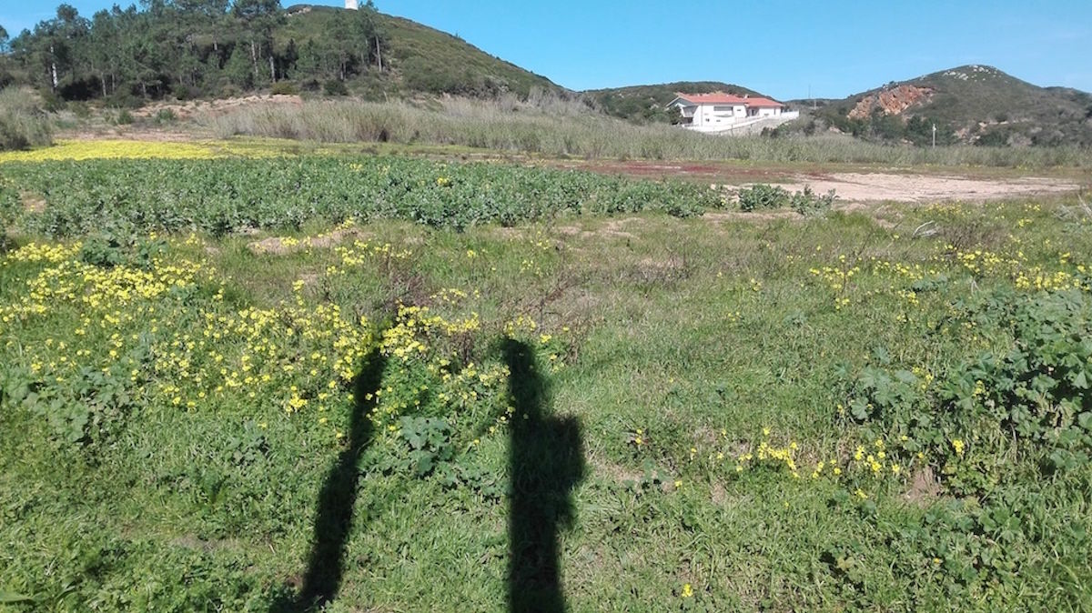 Terreno para venda Sao Martinho Porto