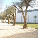 Villa moderniste à vendre Nadadouro Côte d’Argent