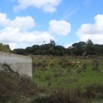 Quintinha por acabar perto da Lourinhã