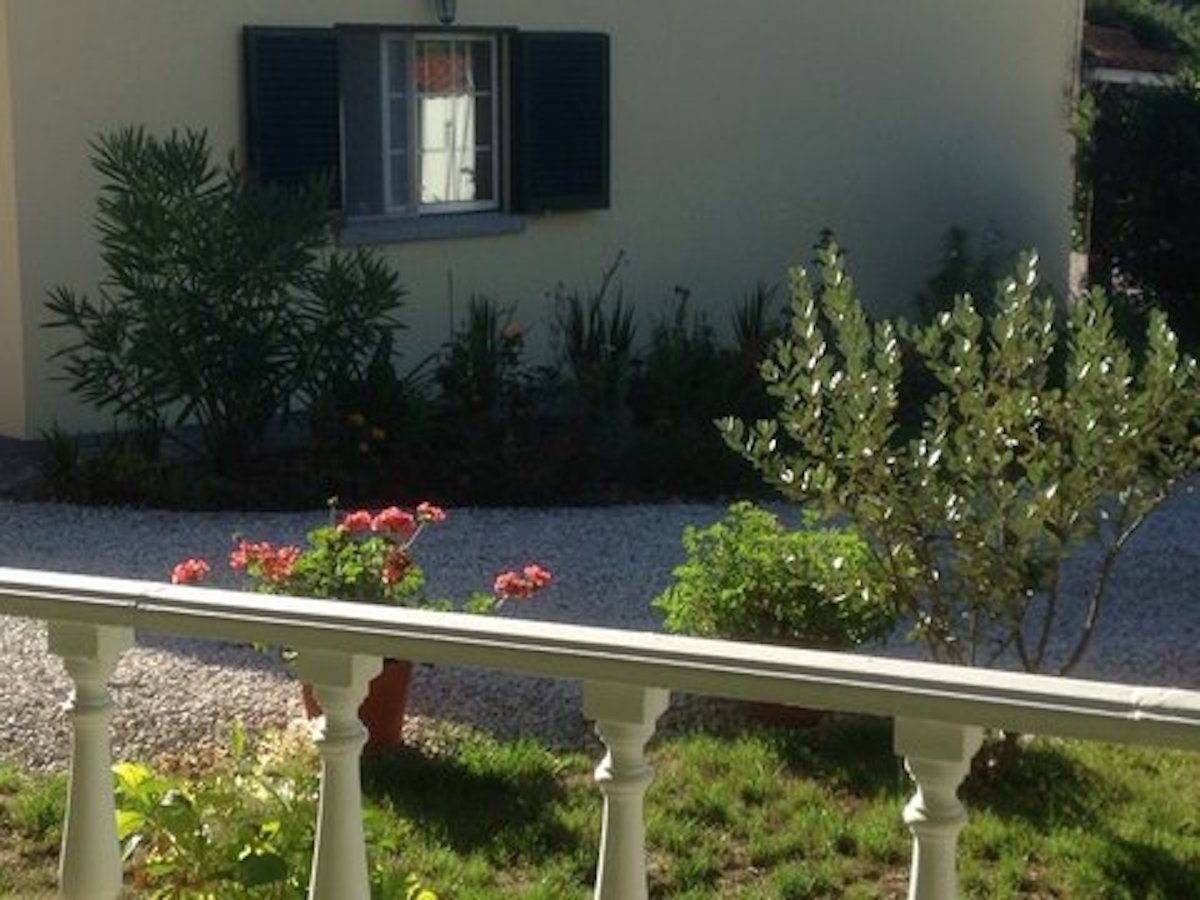 Moradia isolada V3 em Góis com piscina para venda