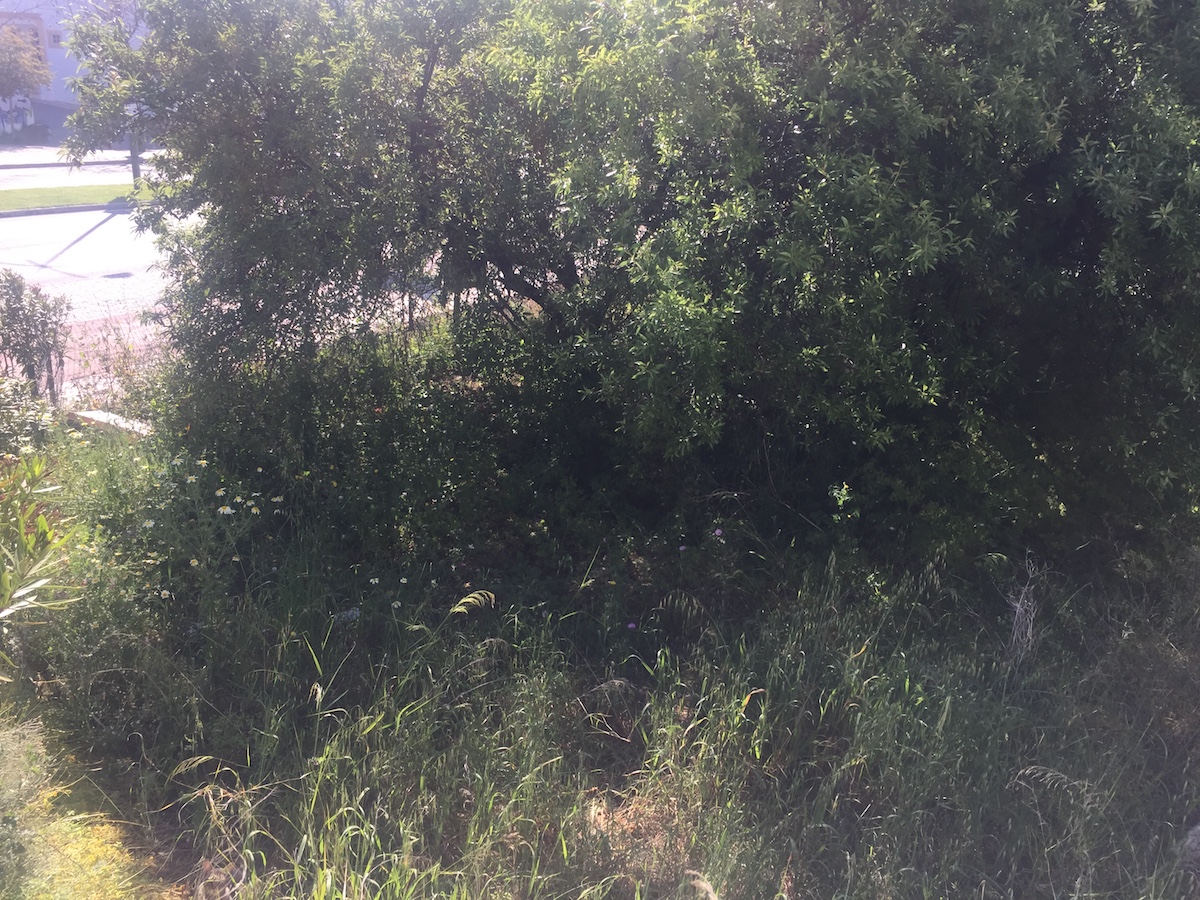 Terreno para construção com projeto aprovado Albufeira