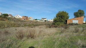 Land for construction with great location and Vista – Field
