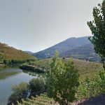 Farm with vineyard beside the Douro River for sale