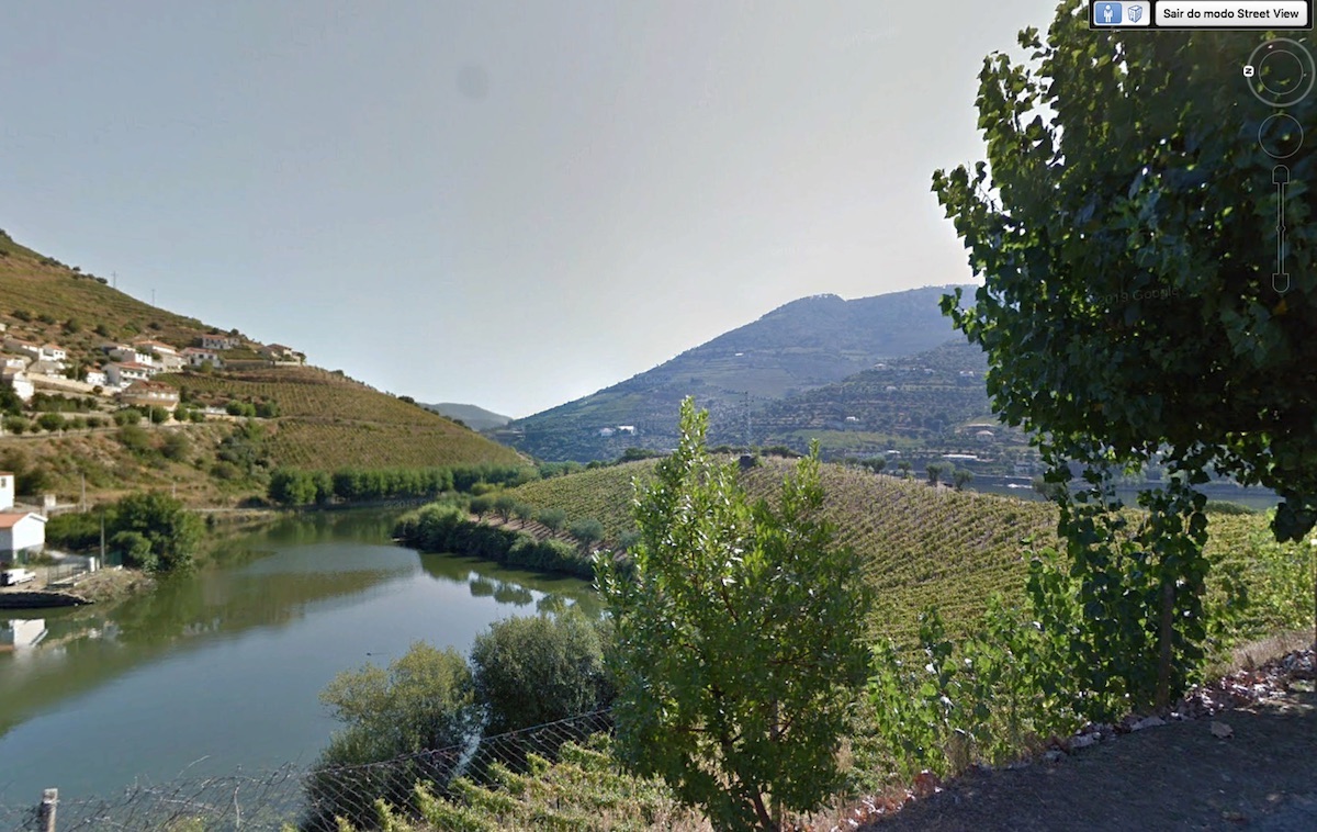 Farm with vineyard beside the Douro River for sale