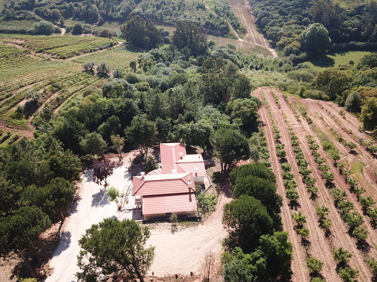 Farm / Ranch for sale in Portugal Villas Luz Portuguese Real Estate