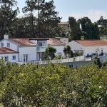 Farm in Portugal fully licensed for B&B
