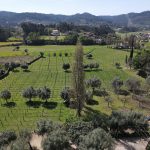 Overview large vineyard and manor house for sale Portugal