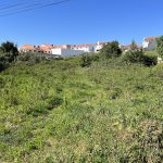 Land for sale Alcobaca